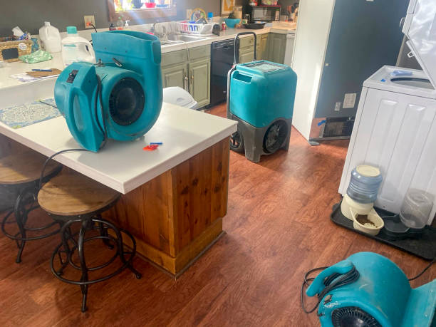 Best Water damage repair service  in Rossmoor, NJ