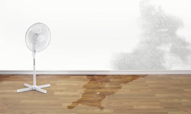 Best Residential water damage restoration  in Rossmoor, NJ
