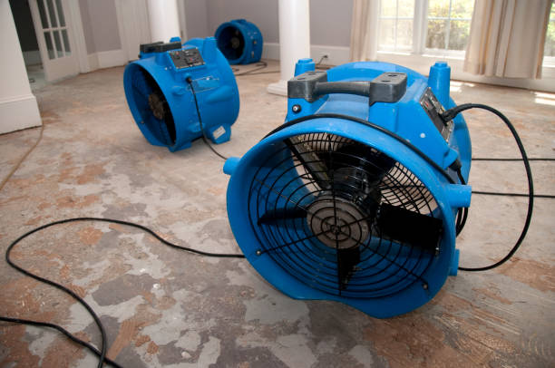 Best Mold removal after water damage  in Rossmoor, NJ