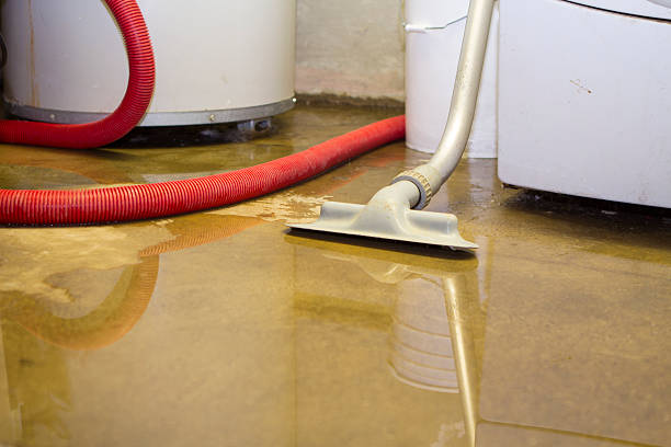 Reliable Rossmoor, NJ Water damage restoration Solutions