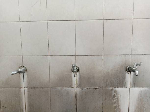 Best Sewage cleanup and water damage restoration  in Rossmoor, NJ