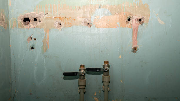  Rossmoor, NJ Water damage restoration Pros