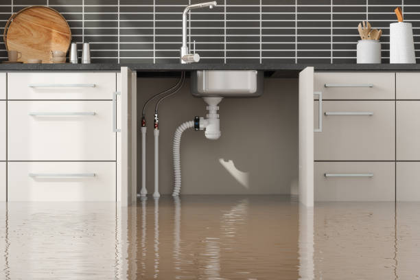 Best Fire Damage Restoration  in Rossmoor, NJ
