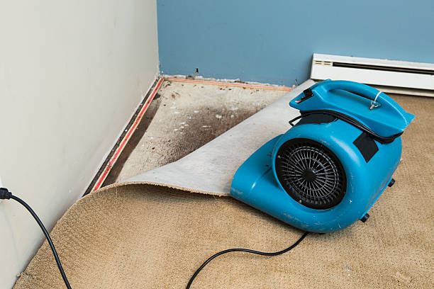 Best Water damage contractors near me  in Rossmoor, NJ